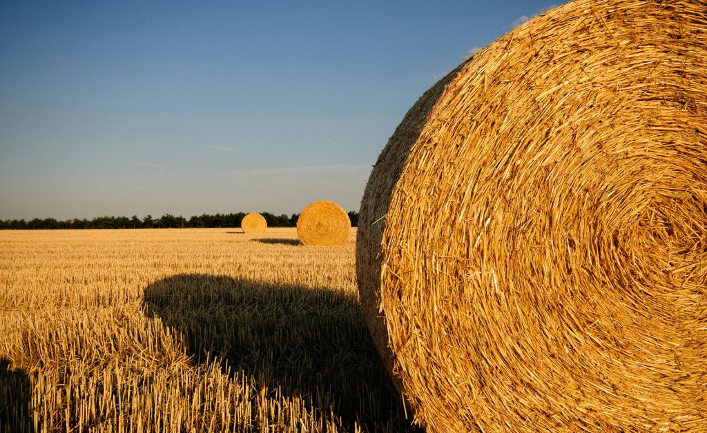 A large roll of hay