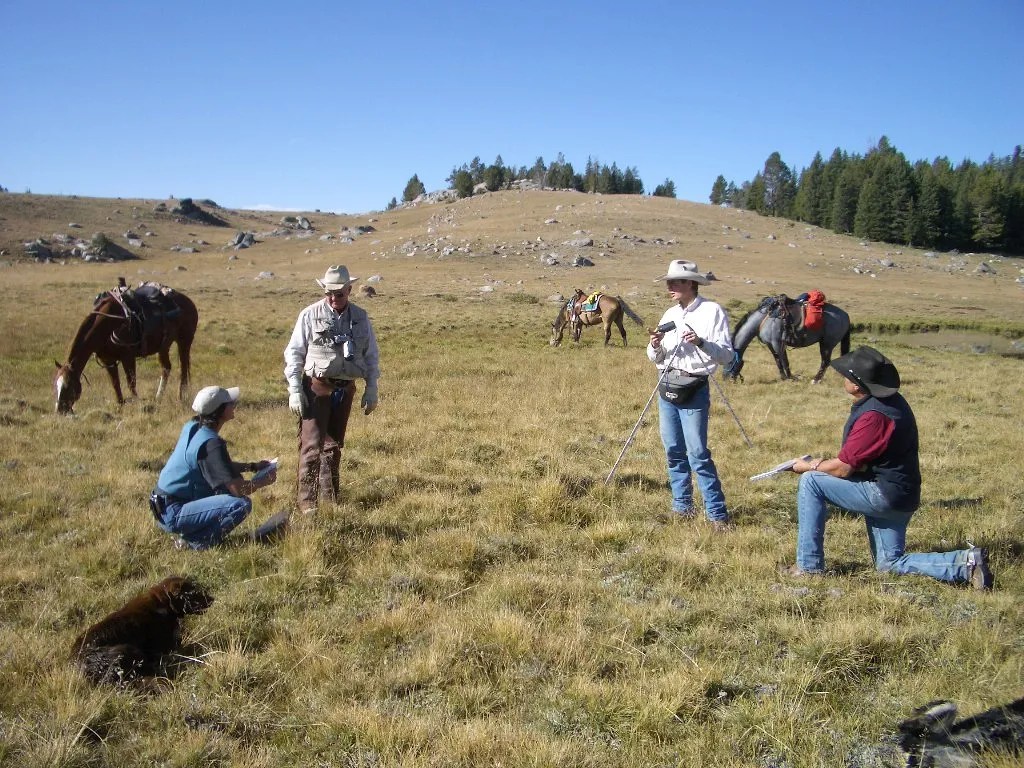 A group of people talk with horses in the background