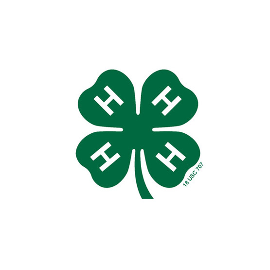 4-H Clover