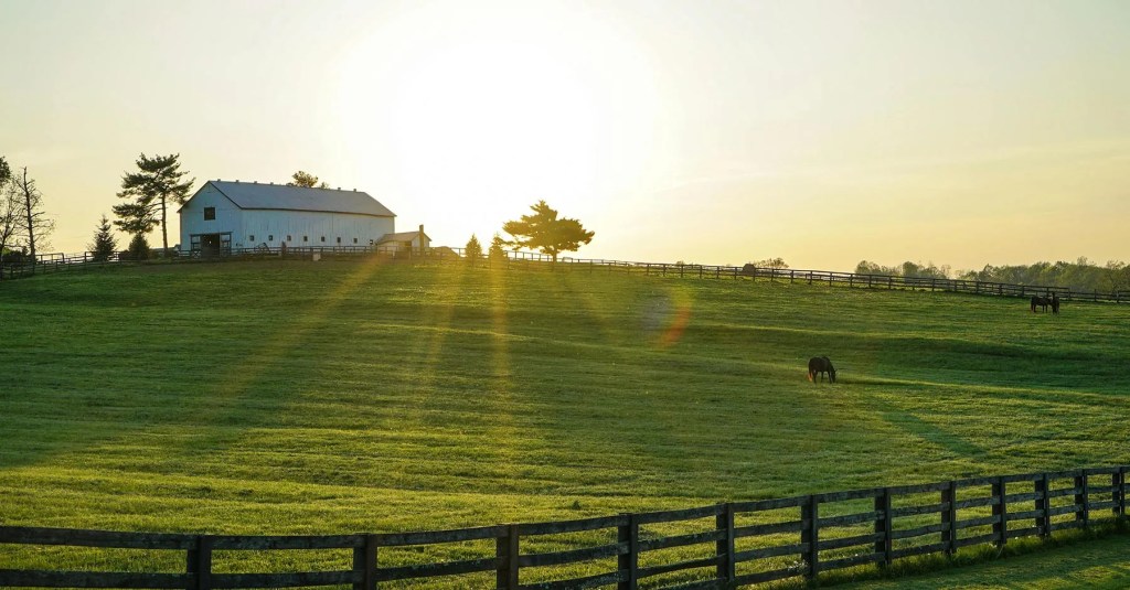 Ranch Landscape with Barn