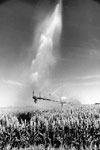 Colorado Agriculture Archive pictures