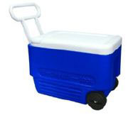 Cooler to transport farmer's market items