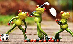 Frogs playing sports