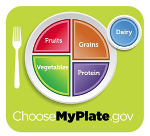 /chiise MyPlate