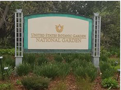 Washington National Garden