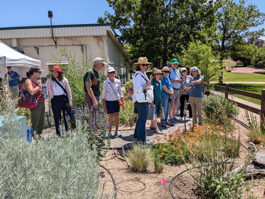 Bloom and Boocha Event with Water Education Colorado, 2024.