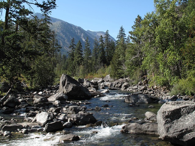 A rocky mountain stream flowing through a forested valley with tall trees and distant peaks under a clear blue sky.