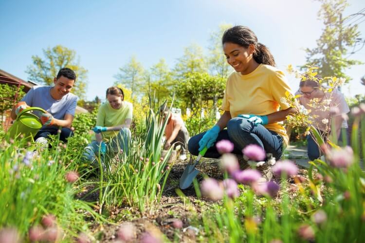 A group of people working together in a garden, tending to plants and soil with gloves and handheld tools.