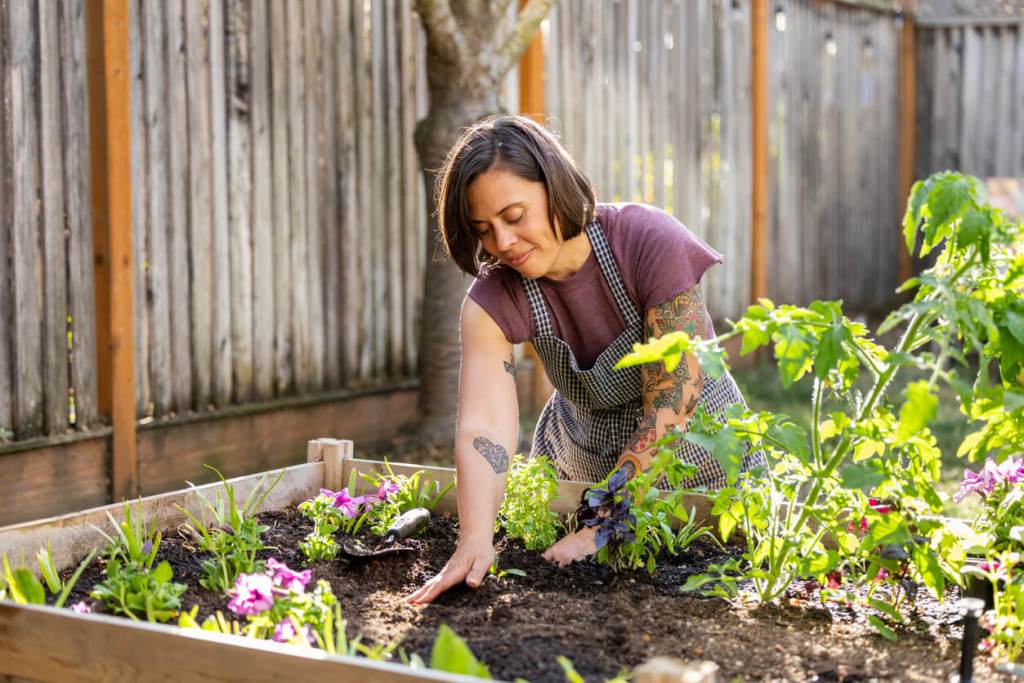 An individual wearing an apron tends to plants in a raised garden bed in a fenced backyard.