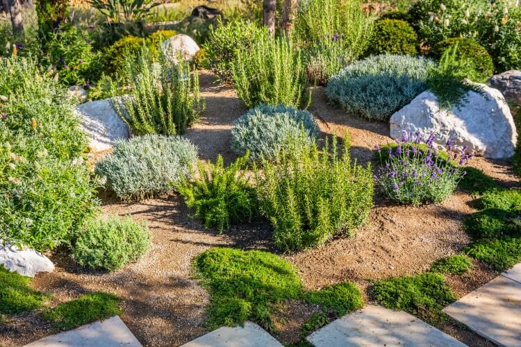 A vibrant, water‑wise garden featuring clusters of drought‑tolerant plants arranged among sandy pathways and natural stone.