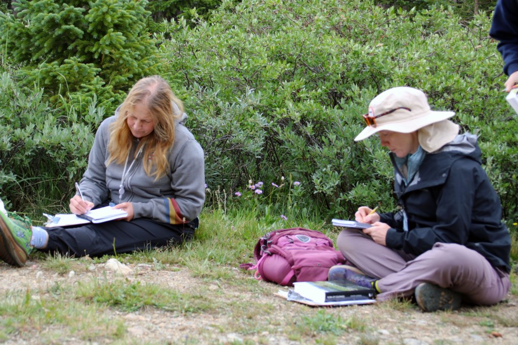 Two Native Plant Master participants identifying a plant.