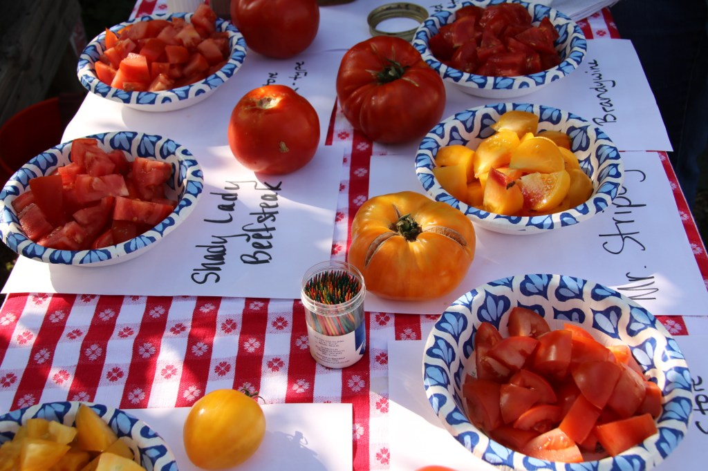 Several varieties of tomatoes during a Jeffco tomato tasting workshop.