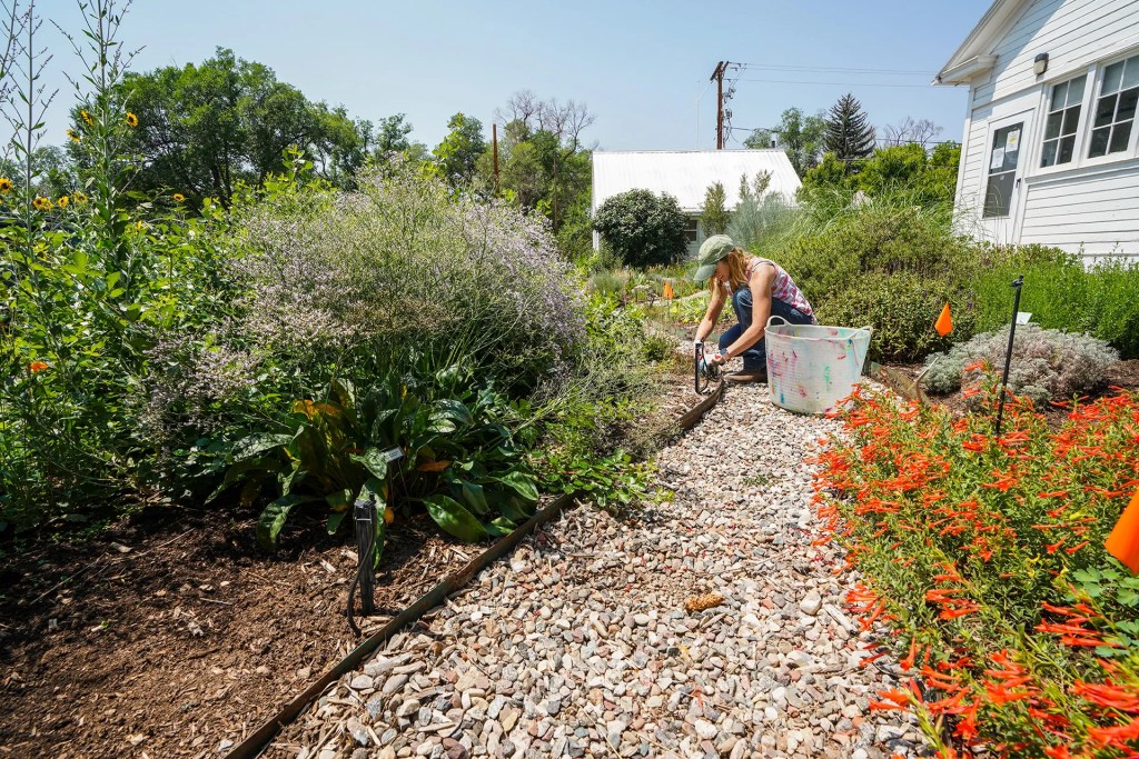 Women working in a flower garden 