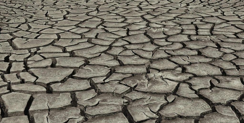 Dry cracked earth