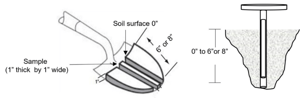 Illustration of sample depth at 6 inches to 8 inches.