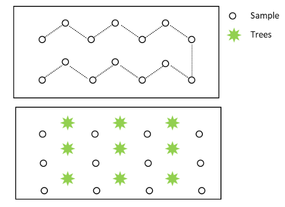 Sampling pattern for fields, lawns, gardens, flowers beds, and trees/orchards.