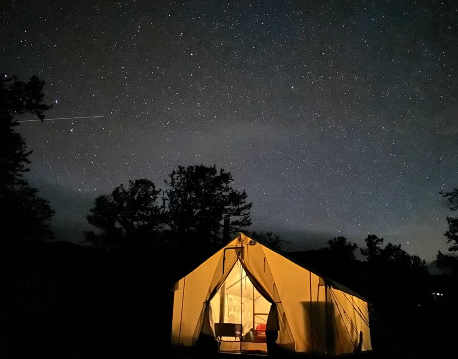 Glowing tent under a starry sky with silhouettes of trees in the background.