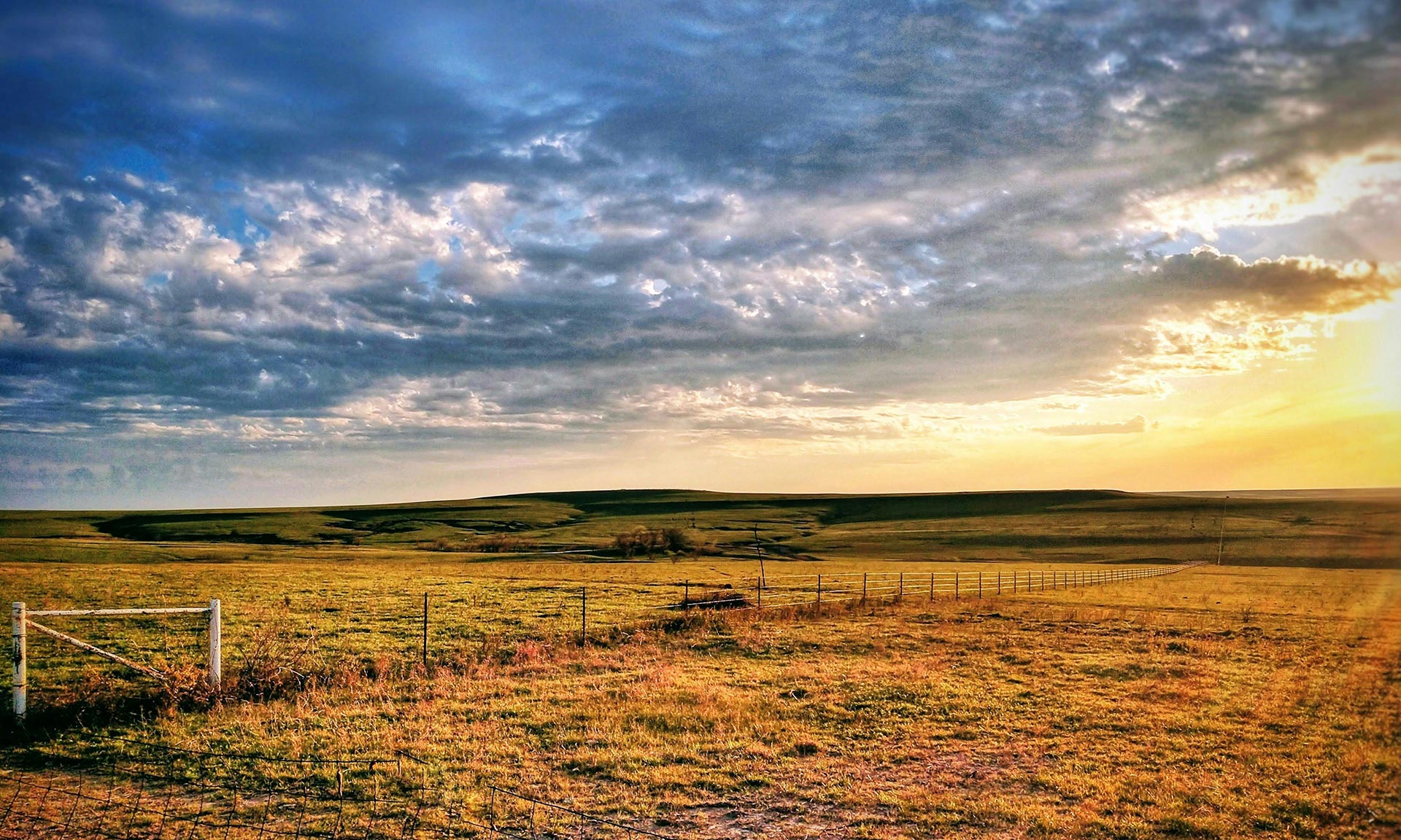 The open plains