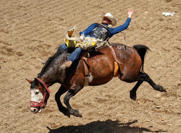 Rodeo Rider