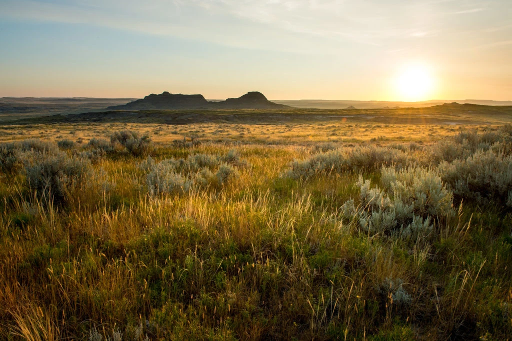prairie at sunset with hills in the background