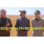 Cover Crops Research