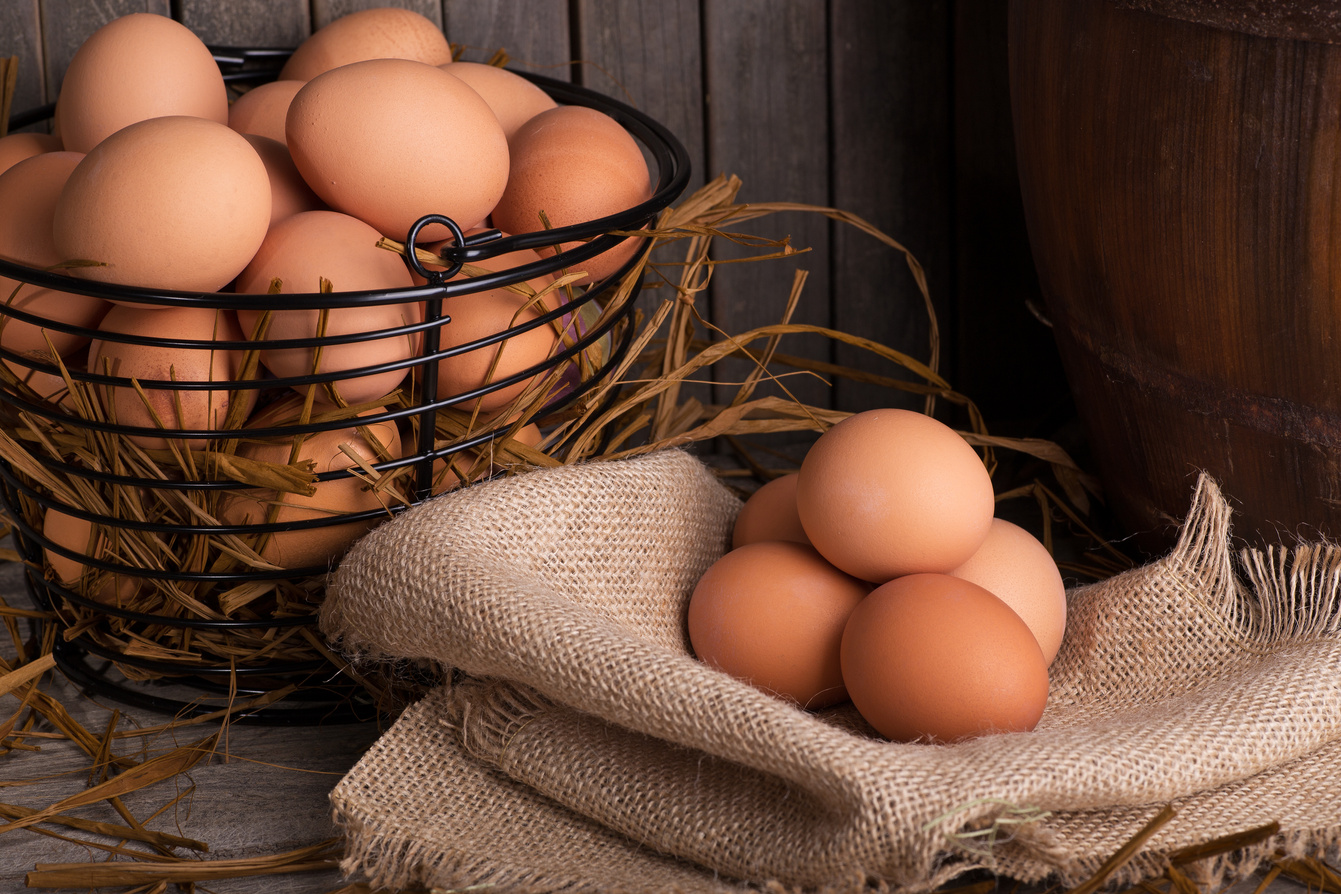 4 Ways to Clean Fresh Eggs Before You Eat Them - Hobby Farms