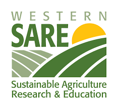 WSARE Logo