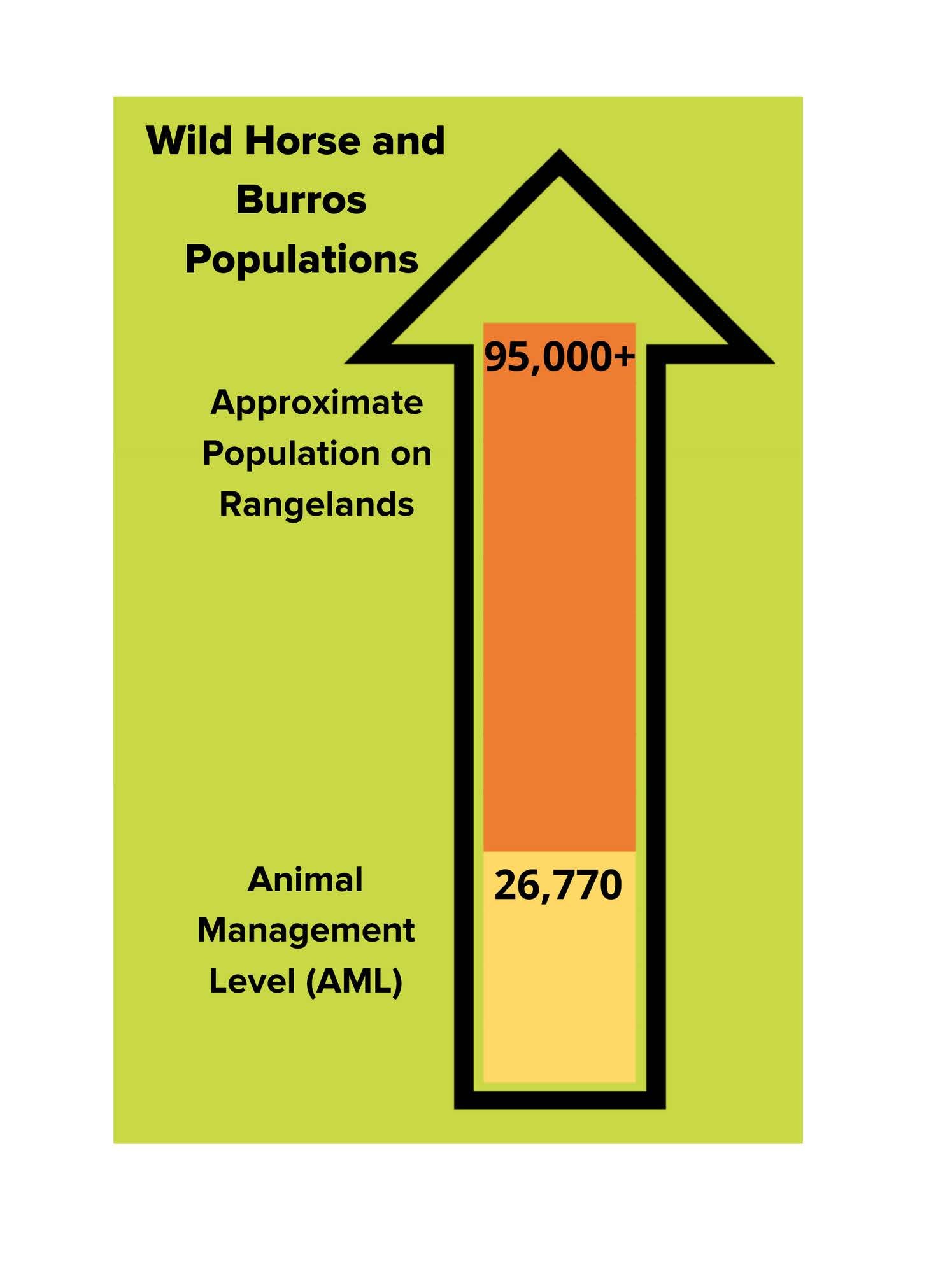 Wild Horse and Burro  Bureau of Land Management