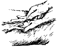 Illustration of hands cutting big game.