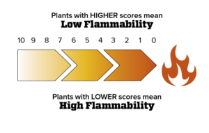 Low/High Falammability Score meter chart