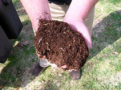 A person holding dirt in their hands