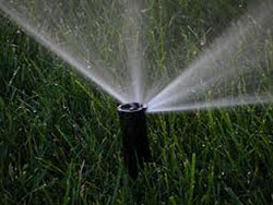 Close-up of lawn sprinkler