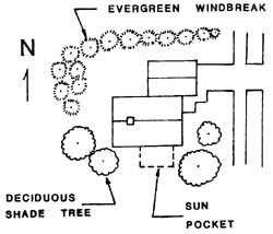 Black and white line diagram showing suggested locations for windbreak, shade trees and sun pockets.