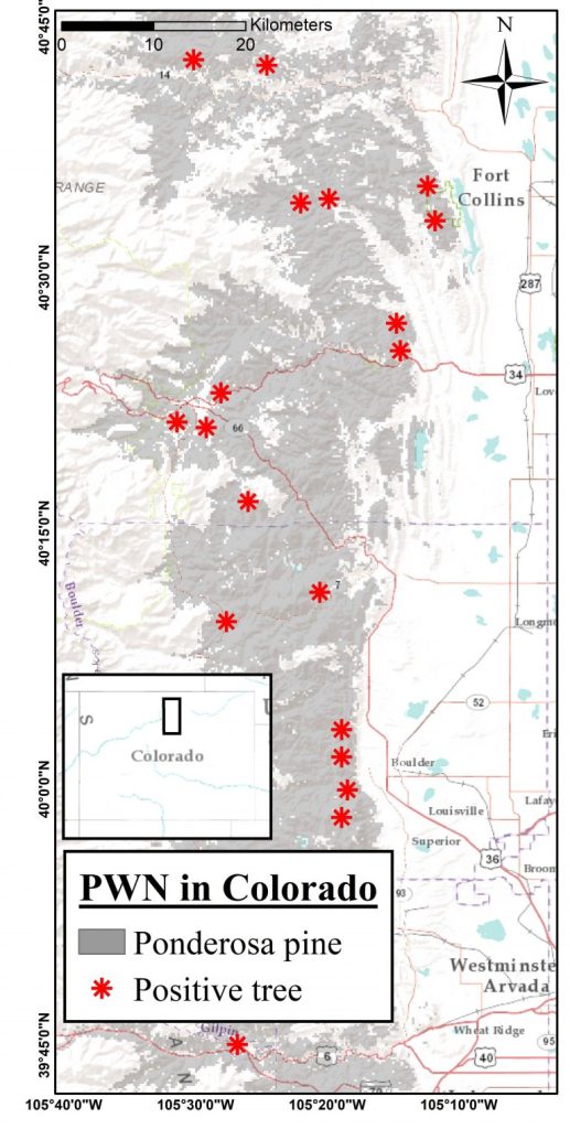 Native Ponderosa pines testing positive for pine wilt disease. Statistic Map showing the Front Range between Golden, CO and north of Fort Collins, CO