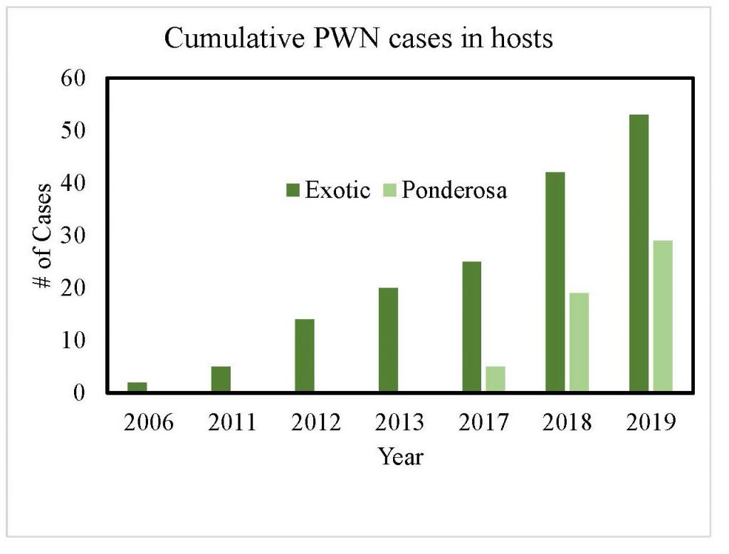 Graph of PNW Cases showing significant growth in Colorado between 2006 and 2019 with exotic cases trending the highest over ponderosa