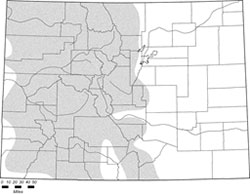 Map of Long-tailed vole distribution in Colorado.