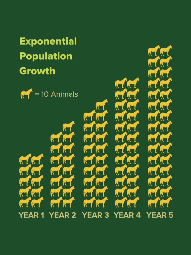 Exponential growth represented in tens of animals over five years.
