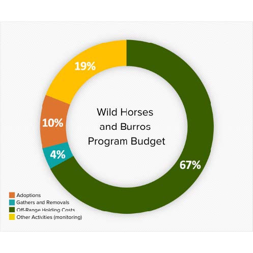The total BLM Wild Horses and Buroos program budget based on FY 2019 figures.