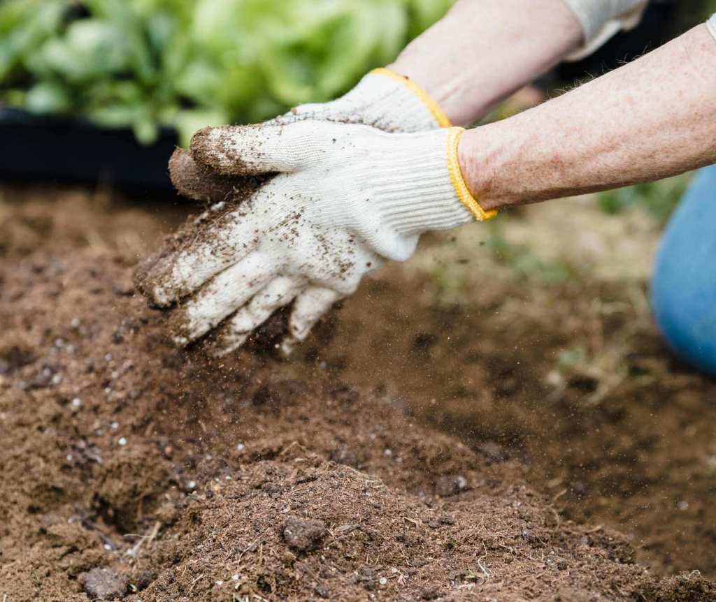A pair of hands with gardening gloves works the soil. 