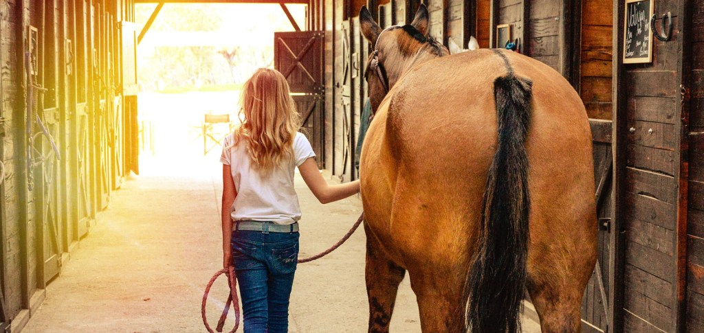 Young girl dressed in a white shirt and blue jeans, guiding a brown horse through a wooden stable towards a sunlit opening.