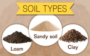 Soil types