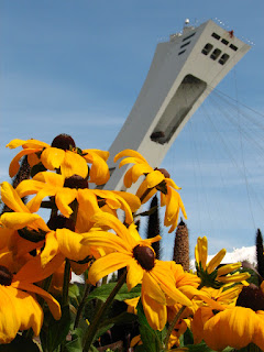 Rudbeckia at the Montreal Botanical Garden, from a trip with my parents. In the background is the Olympic Tower from the 1976 Olympics.