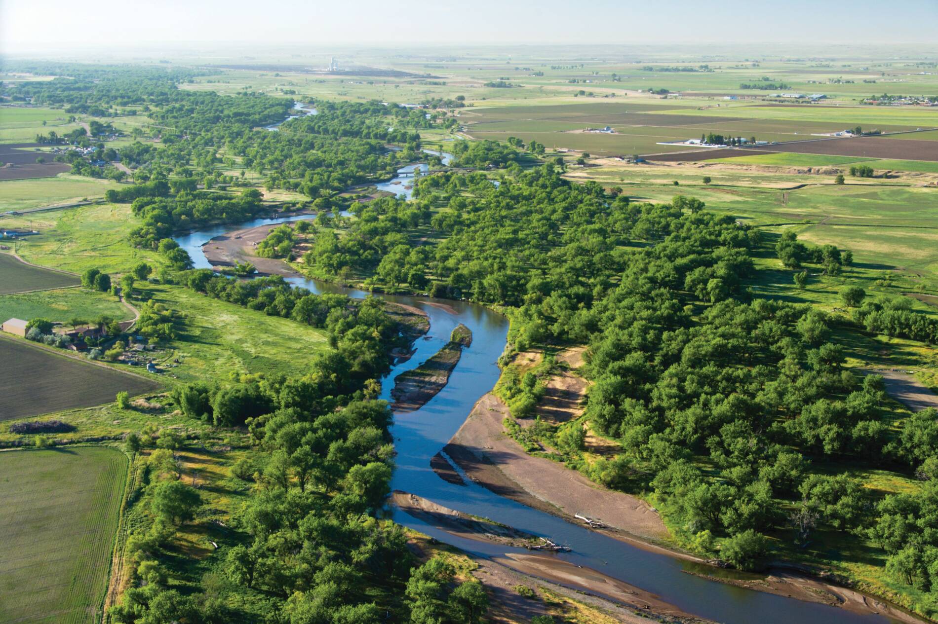 Aerial view of a river with trees