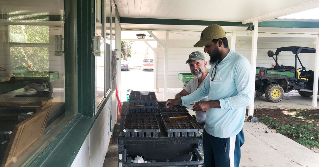 Two people standing near a table placing seeds into trays with small compartments filled with soil. Behind them is a small, green utility vehicle and white building.