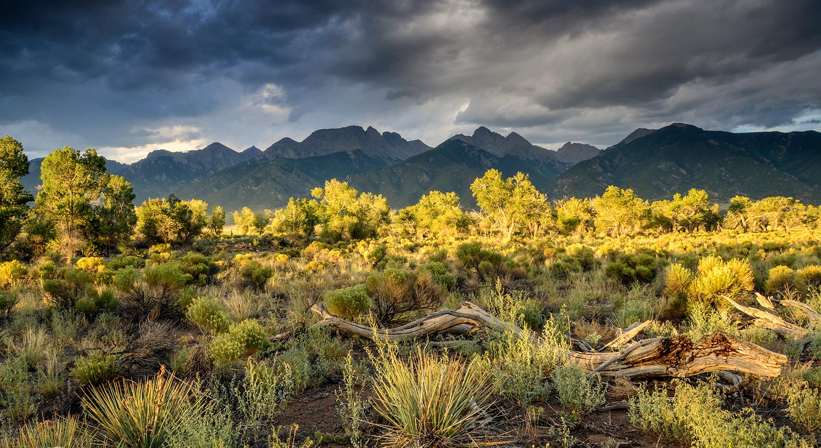 Baca National Wildlife Refuge in Crestone Colorado