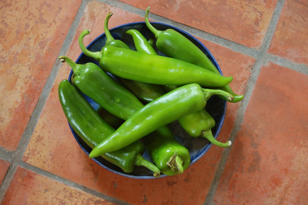 Close up of a small blue bowl holding 8 green chile peppers sitting on a terracotta tiled countertop