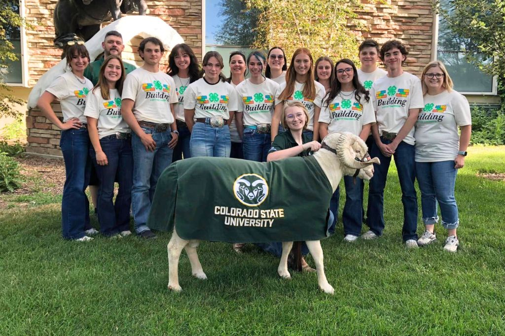 A group of Colorado 4-H youth and leaders pose outside with Cam the Ram, Colorado State University’s mascot, wearing CSU gear.