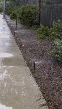A wet sidewalk next to tall pop-up sprinklers. Cycling can minimize this water runoff.