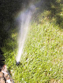 Rotor heads rotate slowly sending out one or more streams of water to cover areas larger than spray heads.