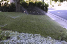 Line hardscape areas with heads to throw water back into the 
landscape. Do not place heads within the landscape and throw water towards the hardscapes.